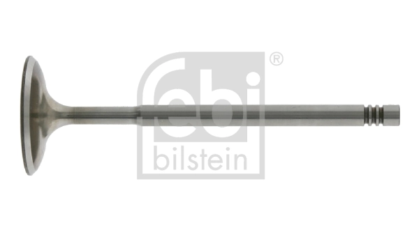 Intake Valve